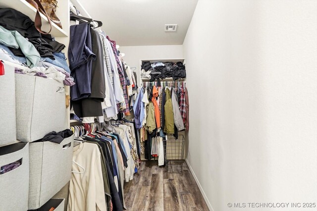 spacious closet featuring wood-type flooring