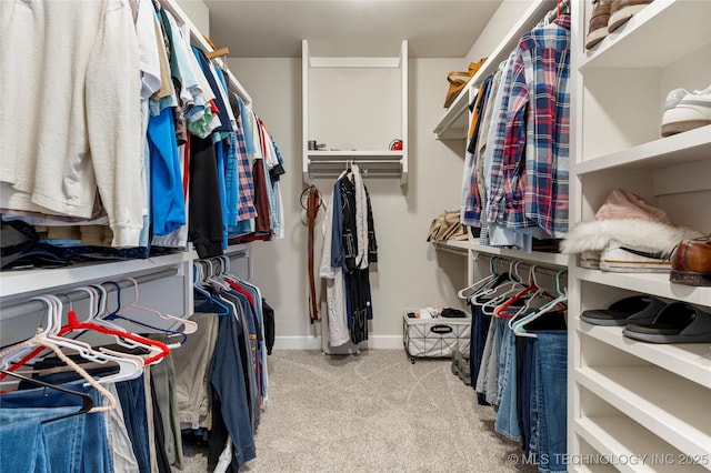 walk in closet with light colored carpet