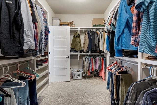 walk in closet with carpet floors