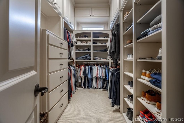 walk in closet featuring light colored carpet