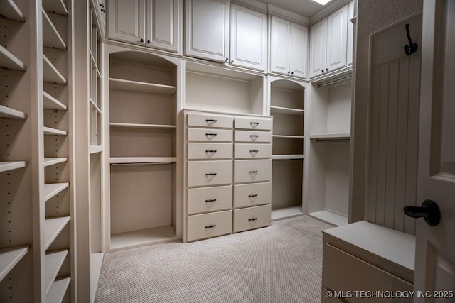 walk in closet featuring light colored carpet