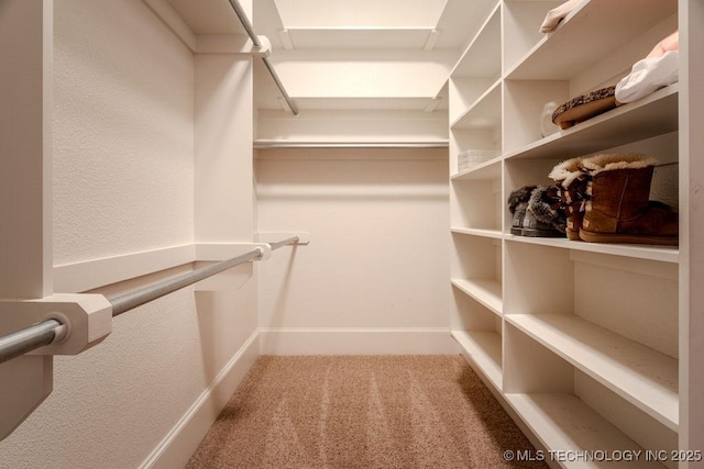 walk in closet with carpet floors