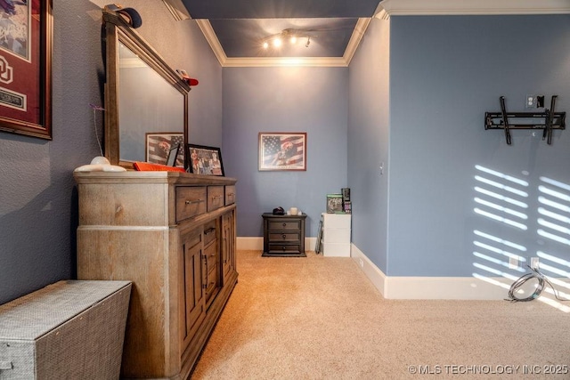 interior space featuring ornamental molding and light colored carpet