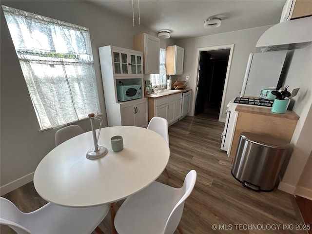 dining area with sink and dark hardwood / wood-style floors