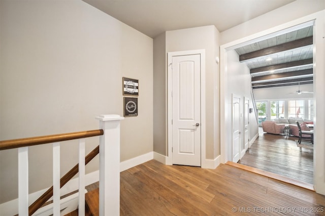 corridor with wood-type flooring and beam ceiling