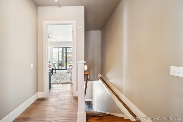 stairway featuring hardwood / wood-style floors