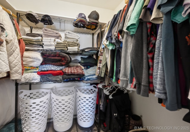 view of walk in closet