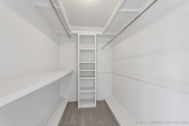 spacious closet with dark colored carpet