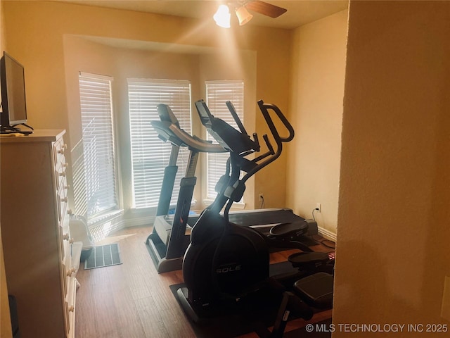 exercise area featuring hardwood / wood-style flooring, plenty of natural light, and ceiling fan