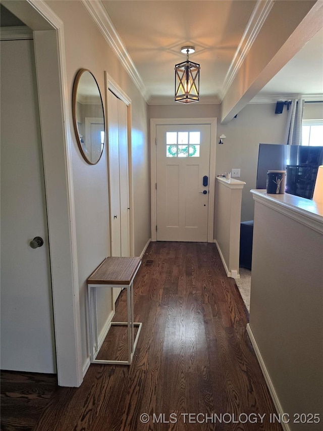 doorway with crown molding, a healthy amount of sunlight, and dark hardwood / wood-style floors