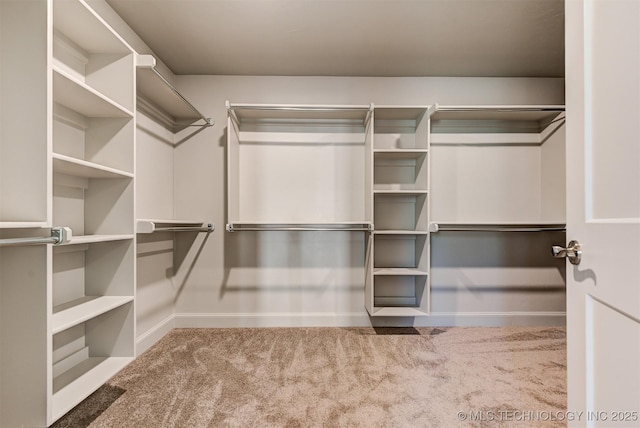 walk in closet with carpet