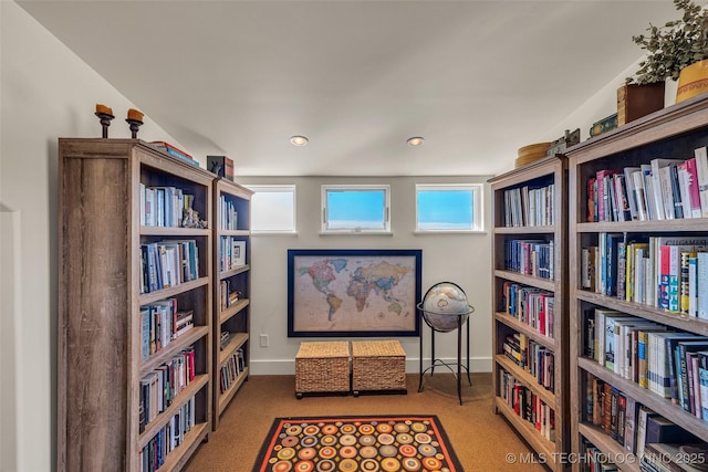 living area featuring light colored carpet