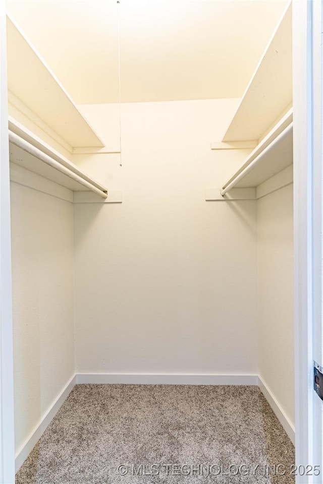 spacious closet featuring carpet floors