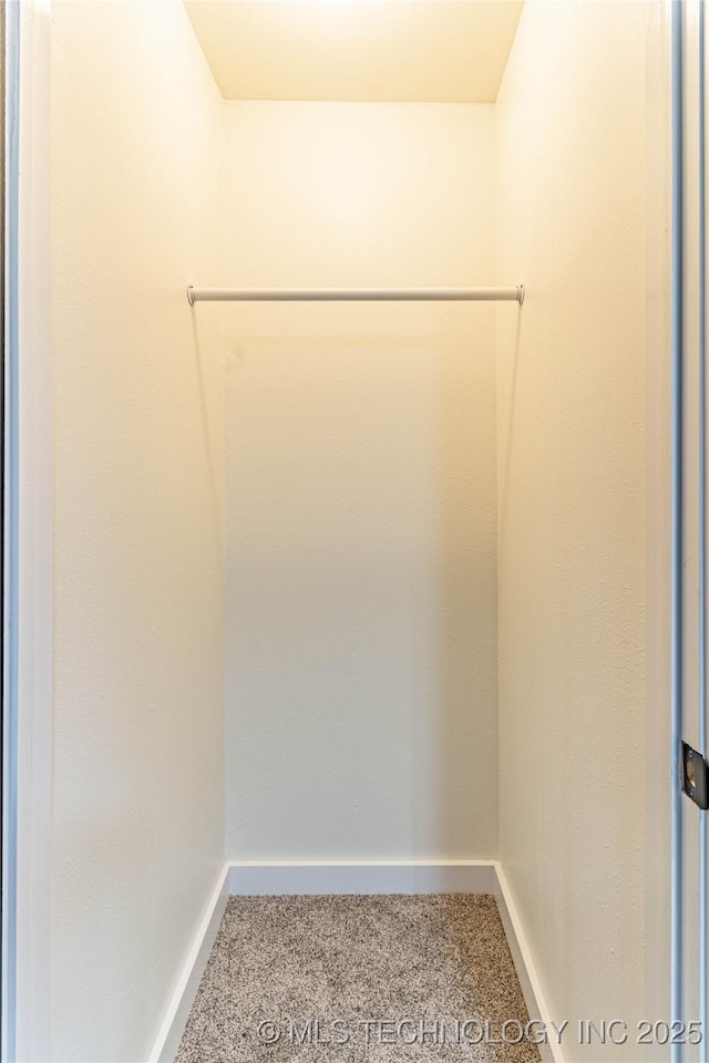 spacious closet with carpet flooring