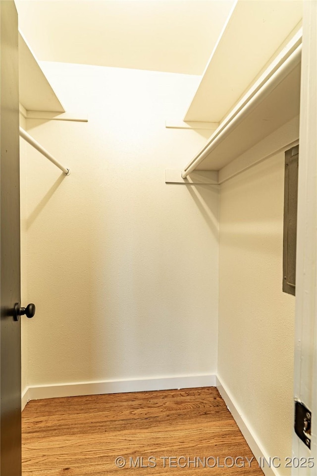 spacious closet featuring light wood-type flooring