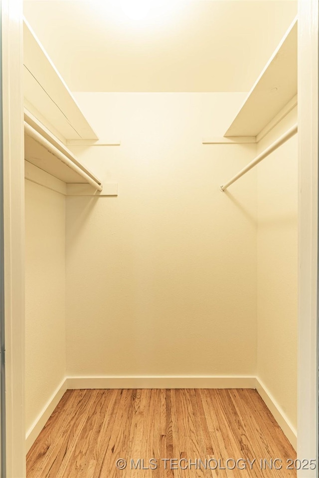 walk in closet with hardwood / wood-style flooring