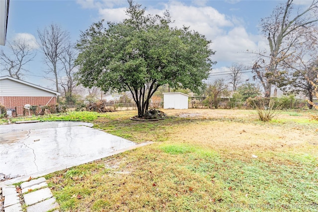 view of yard featuring a storage shed and a patio