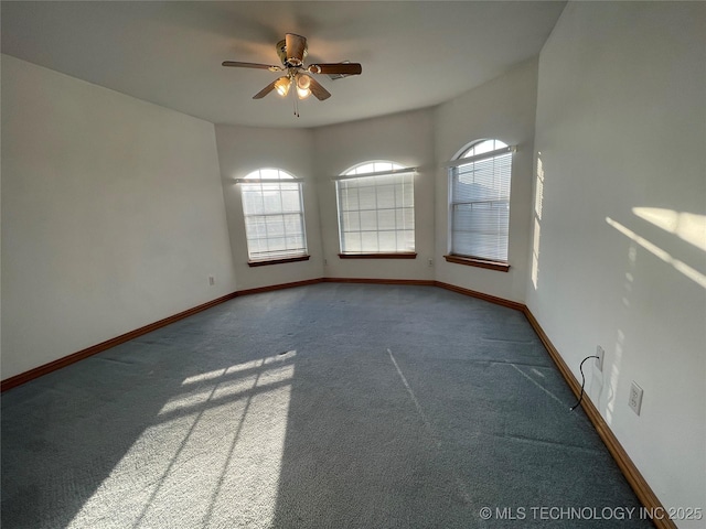 unfurnished room with carpet, baseboards, and a wealth of natural light