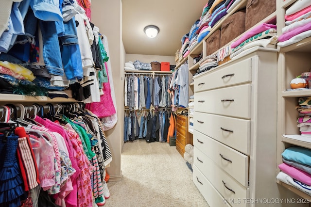 walk in closet with light carpet