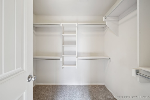 walk in closet with carpet flooring