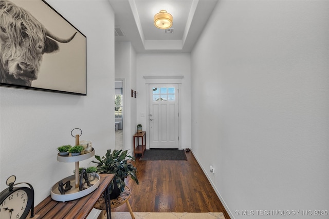 foyer featuring a raised ceiling and dark hardwood / wood-style flooring