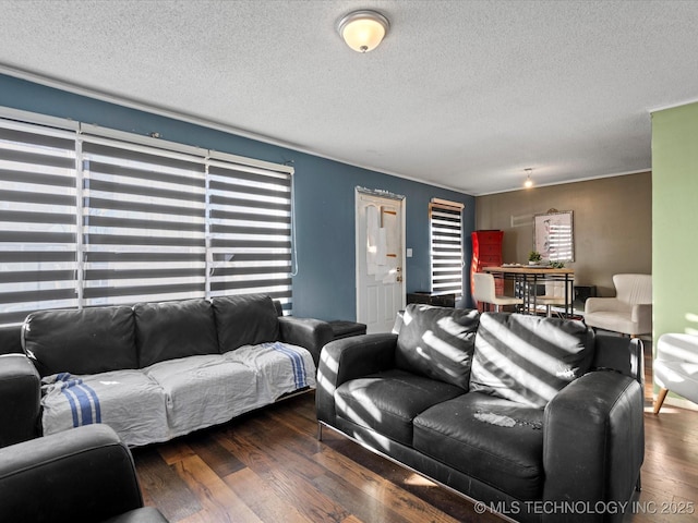 living room with dark hardwood / wood-style floors and a textured ceiling