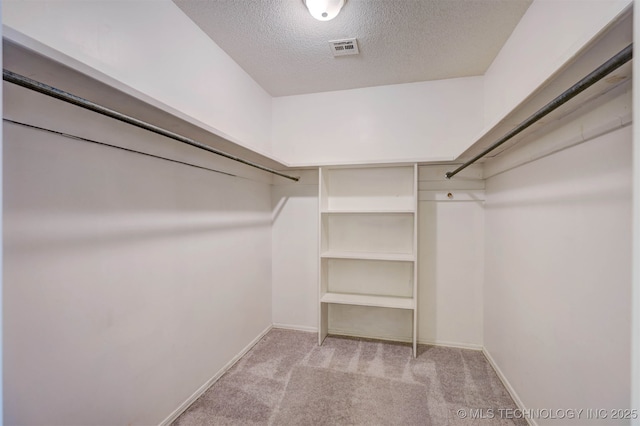 walk in closet with light colored carpet