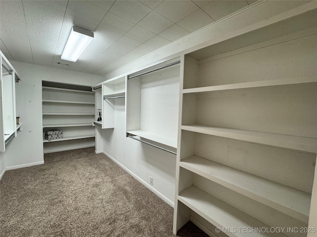 walk in closet with carpet