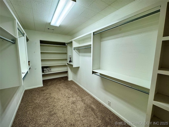 walk in closet with carpet