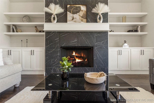 details featuring hardwood / wood-style flooring, a high end fireplace, and built in features