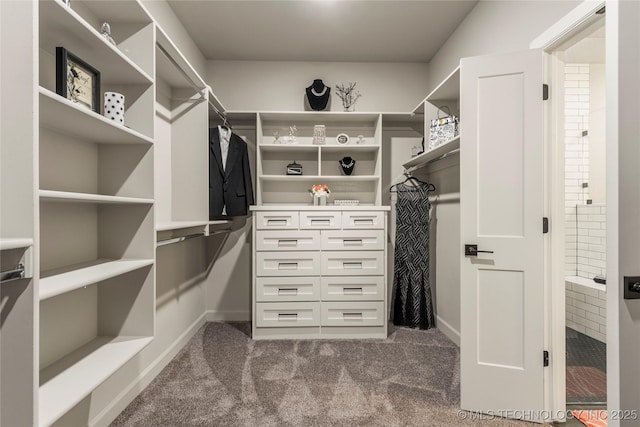 spacious closet with dark carpet