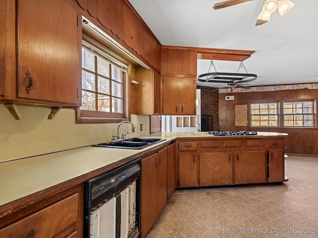 kitchen featuring sink, gas cooktop, dishwasher, and ceiling fan