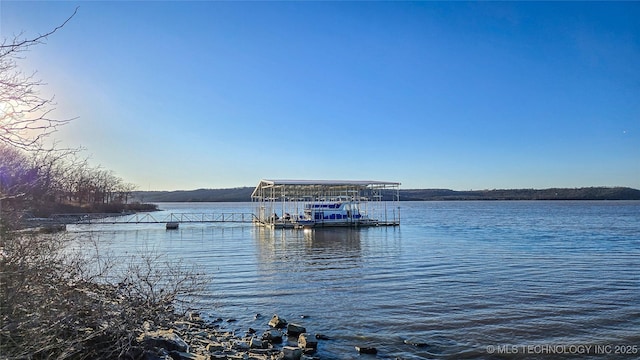 dock area with a water view