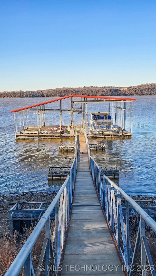 dock area featuring a water view