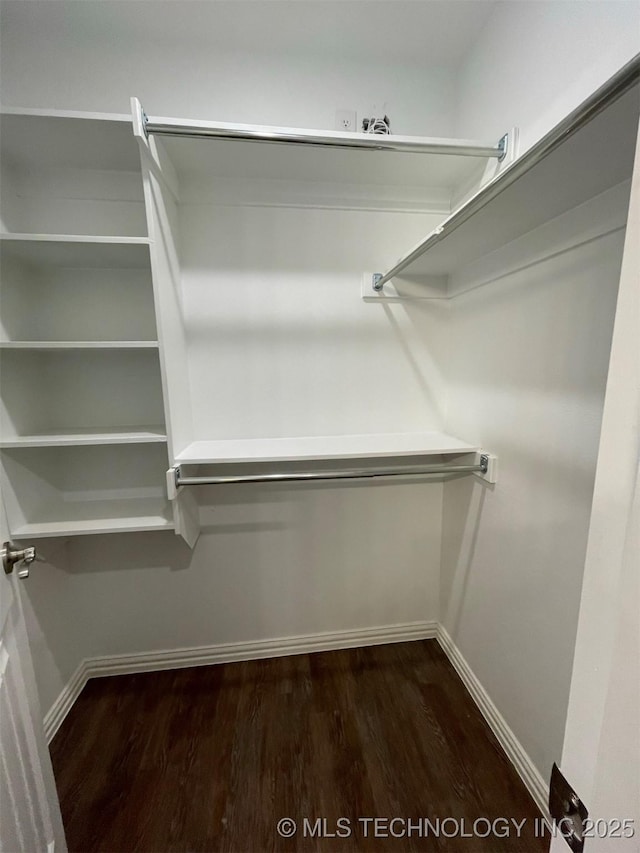 walk in closet featuring hardwood / wood-style floors