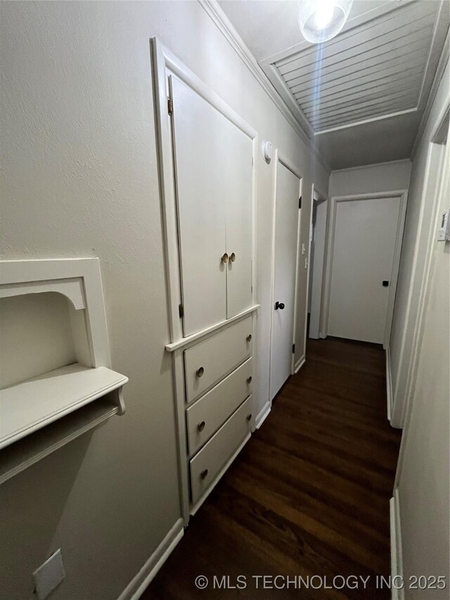 hallway featuring dark wood-type flooring