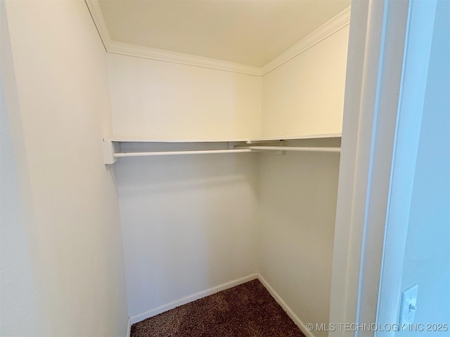 spacious closet with carpet