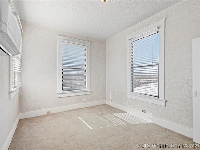 empty room with ornamental molding, carpet flooring, and a textured ceiling