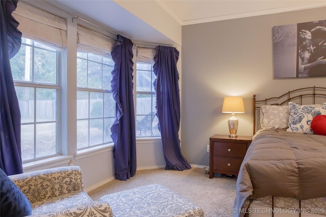 carpeted bedroom with multiple windows and crown molding