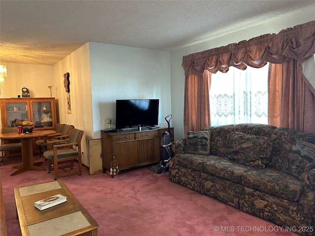 living room with carpet and a textured ceiling