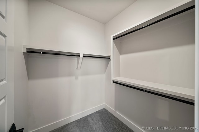 walk in closet with carpet flooring