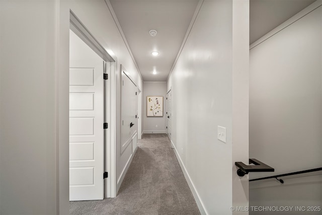 hallway with ornamental molding and carpet