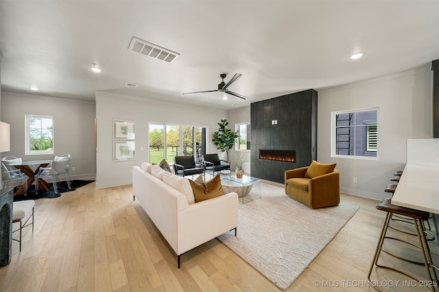 living room with a fireplace, light hardwood / wood-style flooring, and plenty of natural light