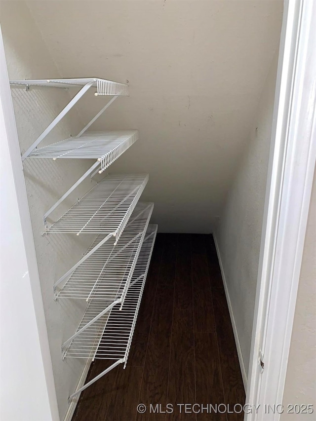 spacious closet with hardwood / wood-style flooring