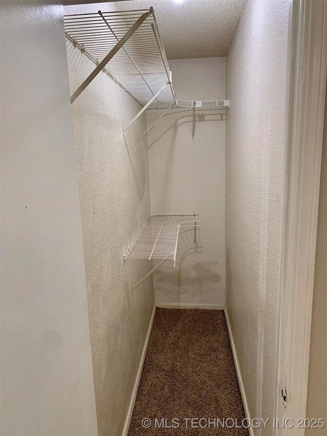 spacious closet with carpet