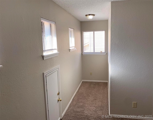 unfurnished room with carpet and a textured ceiling