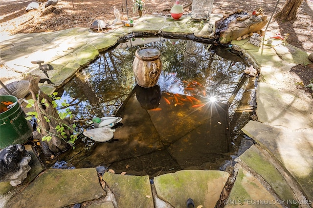 details with a garden pond