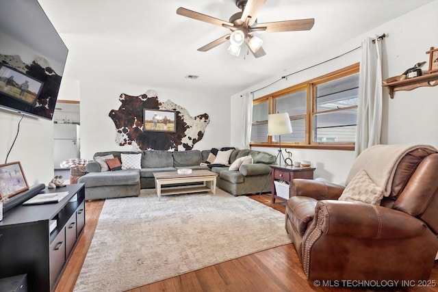 living room with ceiling fan and light wood-type flooring