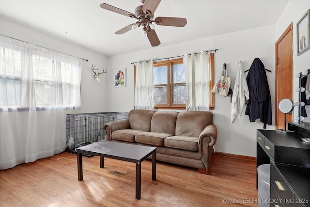 living room featuring ceiling fan, a wealth of natural light, and light hardwood / wood-style floors