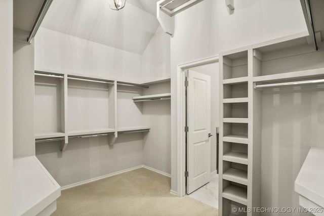 spacious closet featuring carpet floors